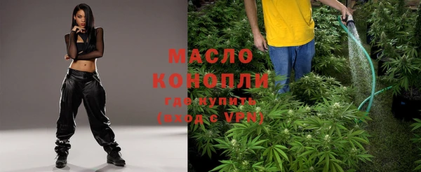 индика Анжеро-Судженск